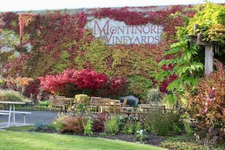 Montinore Estate: Biodynamic Wines For A  Healthier Planet Image